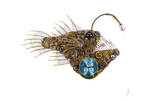 angler fish 06 ig.jpg