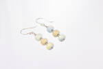 Alashan Agate Drop Earrings 5
