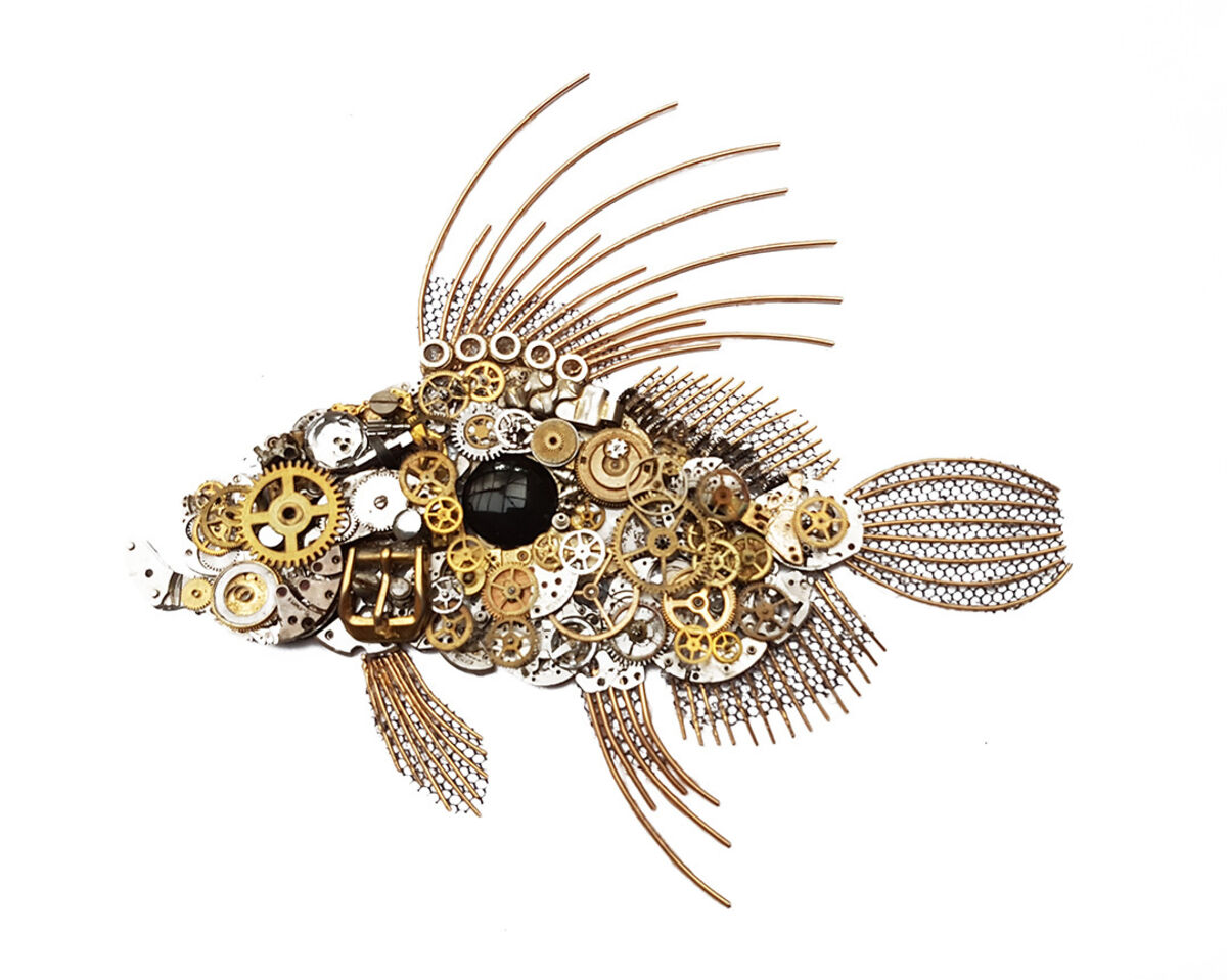 john dory 01.jpg