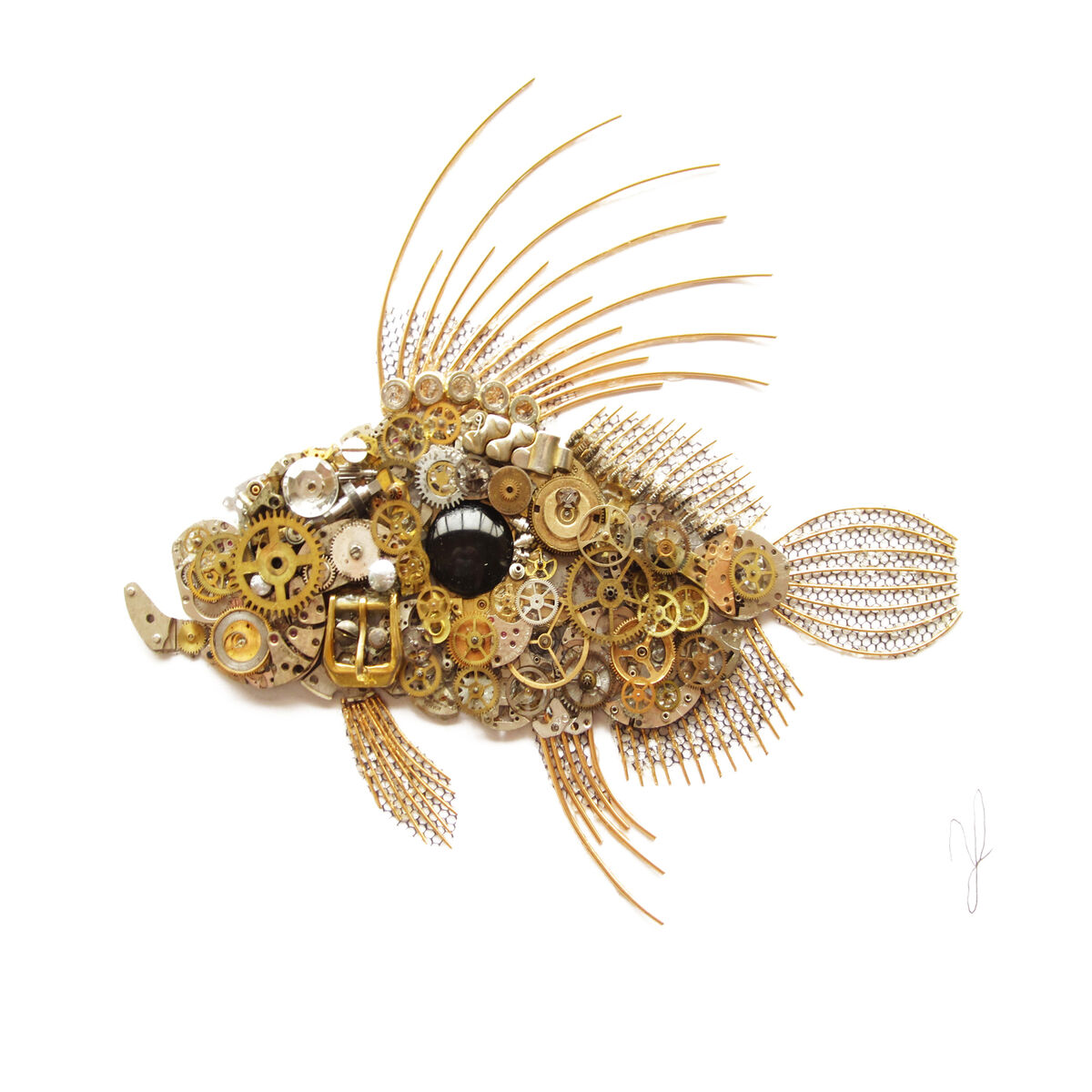 john dory 02 etsy.jpg