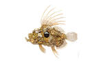 john dory 02 etsy.jpg